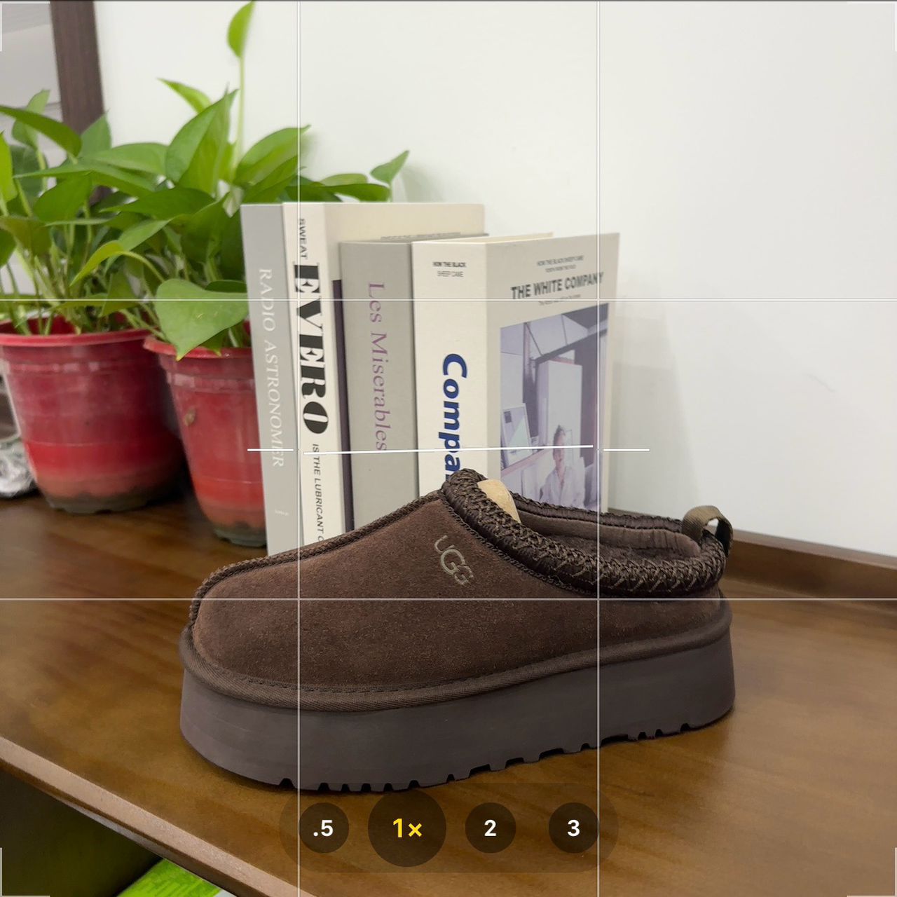 Uggg Tazz Pink Botte