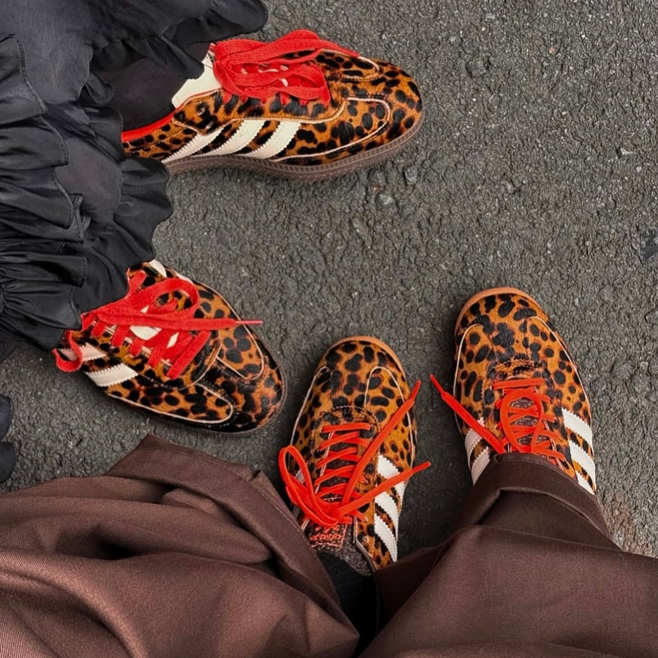 Adidas Samba Leopard 2025