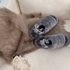 Ugg Grey november 23